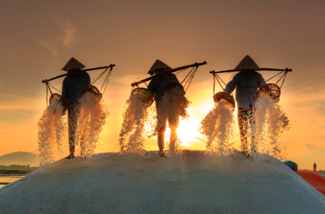 Ilustrasi petani garam/Foto: Quang Nguyen Vinh, pexels.com